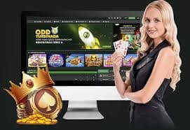 ao881
